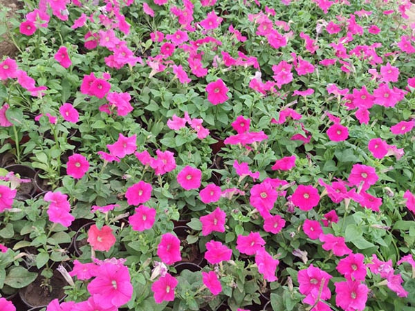 牽?；?>
	</div>
</div>


<div   id=